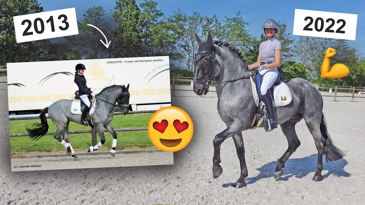 Mijn hengst steigerde en ik viel er af! Carletto na 9 jaar terug bij Paarden van de Zon!