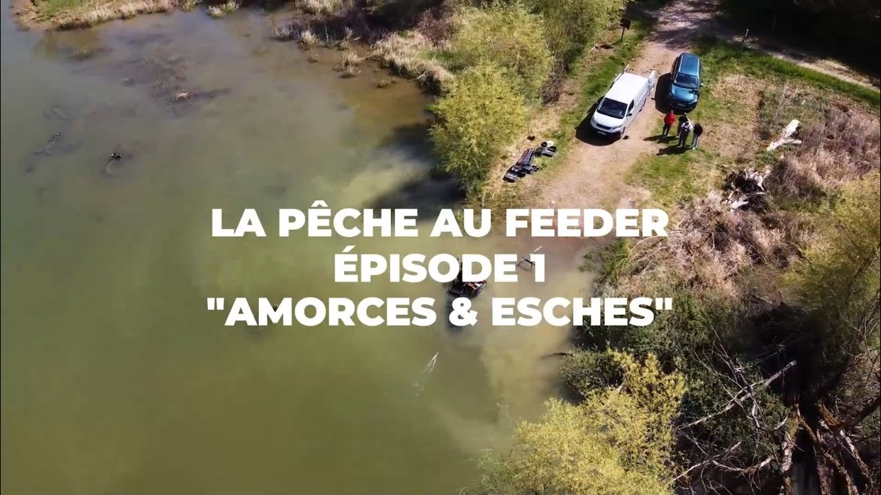 Pêche au Feeder avec Sébastien Rousseau et Nicolas Béroud | Daiwa - Episode #1