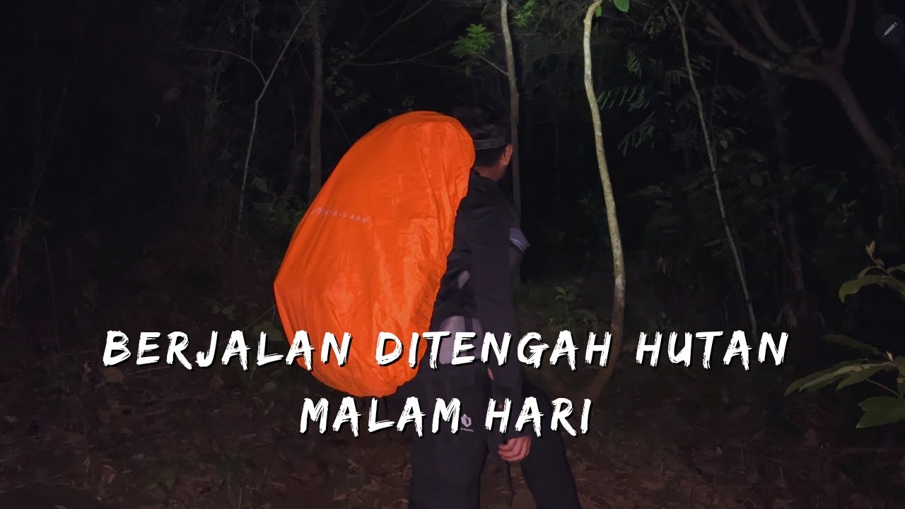 Trekking Malam di Hutan Kalimantan, Camping Diterpa Hujan Deras Semalaman