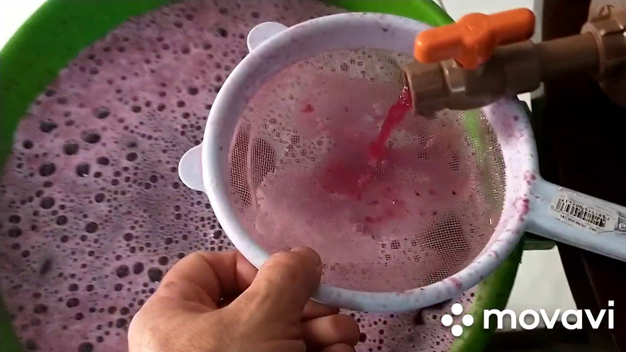 Como fazer vinho tinto artesanal passo a passo.handmade red wine. subscribe to the channel.
