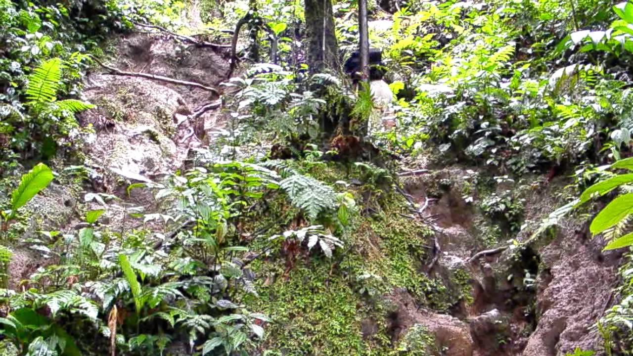 Hiking Chato Volcano