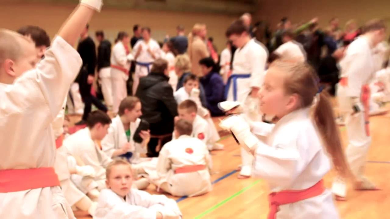 IPPON CUP 2015