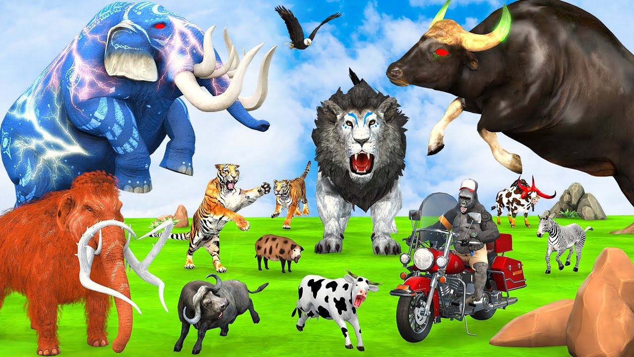 5 Giant Elephant Cow Vs Giant Indian Bison Vs 5 Giant Lion Tiger Bull Saved By Woolly Mammoth