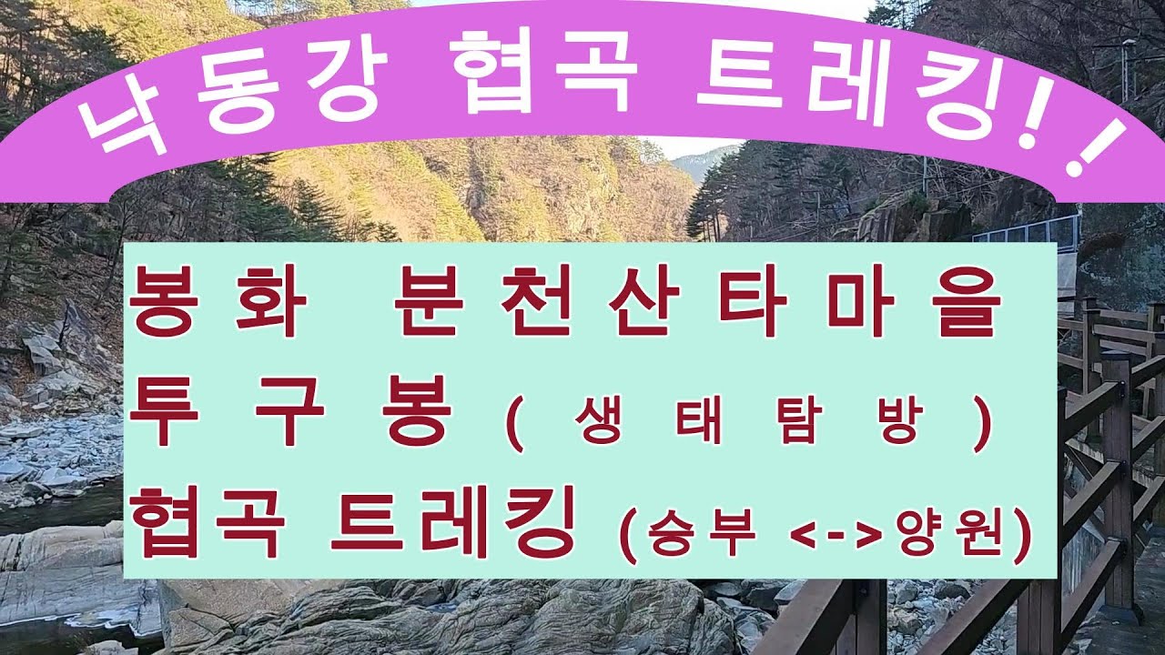 낙동강 세평 하늘길 트레킹, 봉화 분천 산타마을, 양원&승부 협곡과 투구봉 생태탐방(나무,버섯), 협곡열차 여행