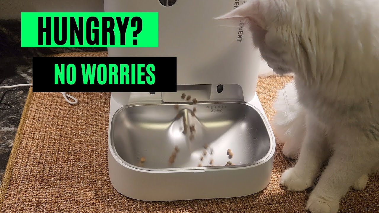 Unboxing, Setup & Review: Petkit Gemini 2 Hopper Automatic Pet Feeder