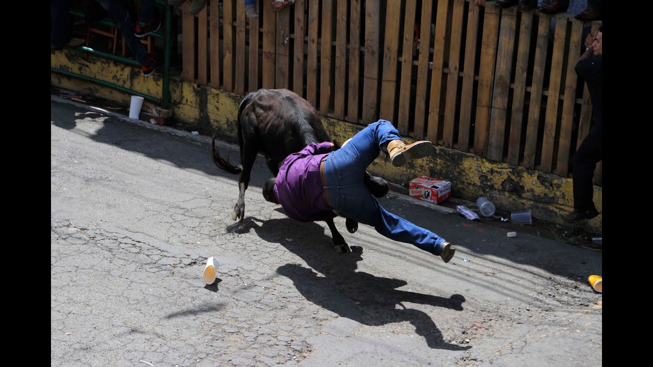 Vaquillada en Teocelo