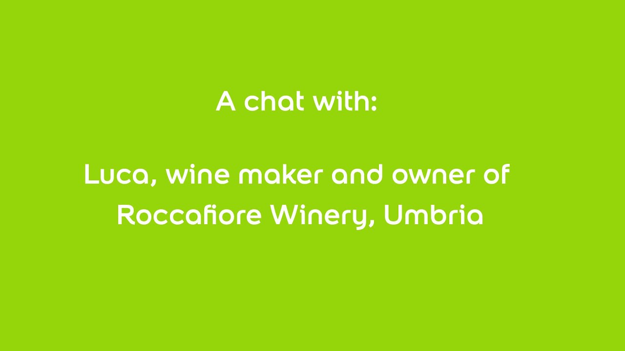 A Chat with Luca from Roccafiore Winery, Umbria