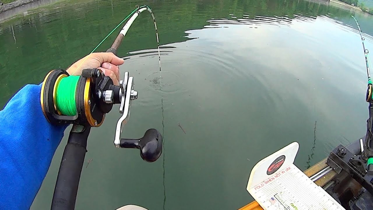 These Fish Will Put Hair On Your Balls