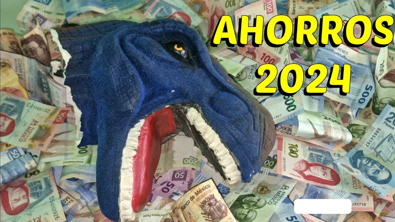IMPRESIONANTE!!! LO QUE JUNTE EN EL 2024