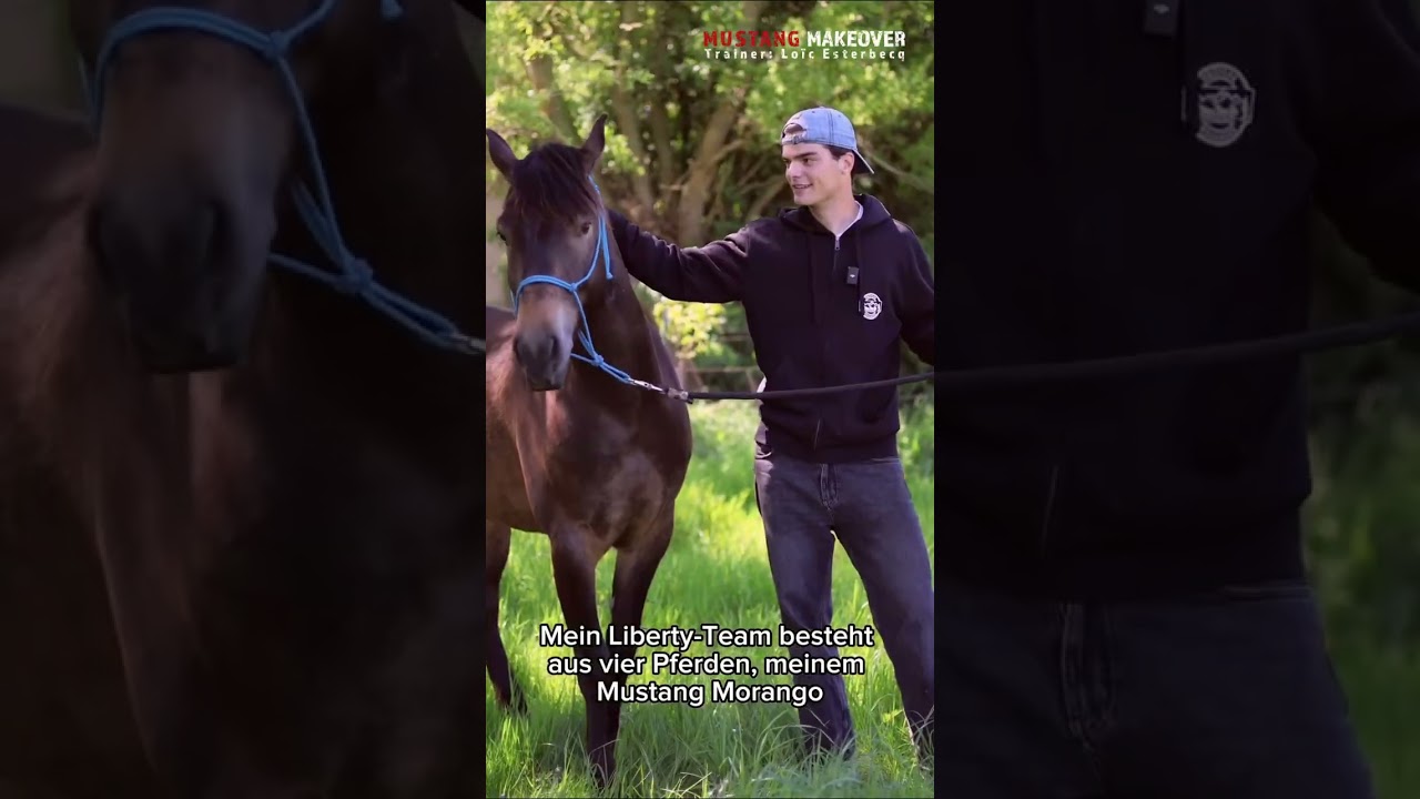 Тренерский вызов 2026 | Лоик Эстербек