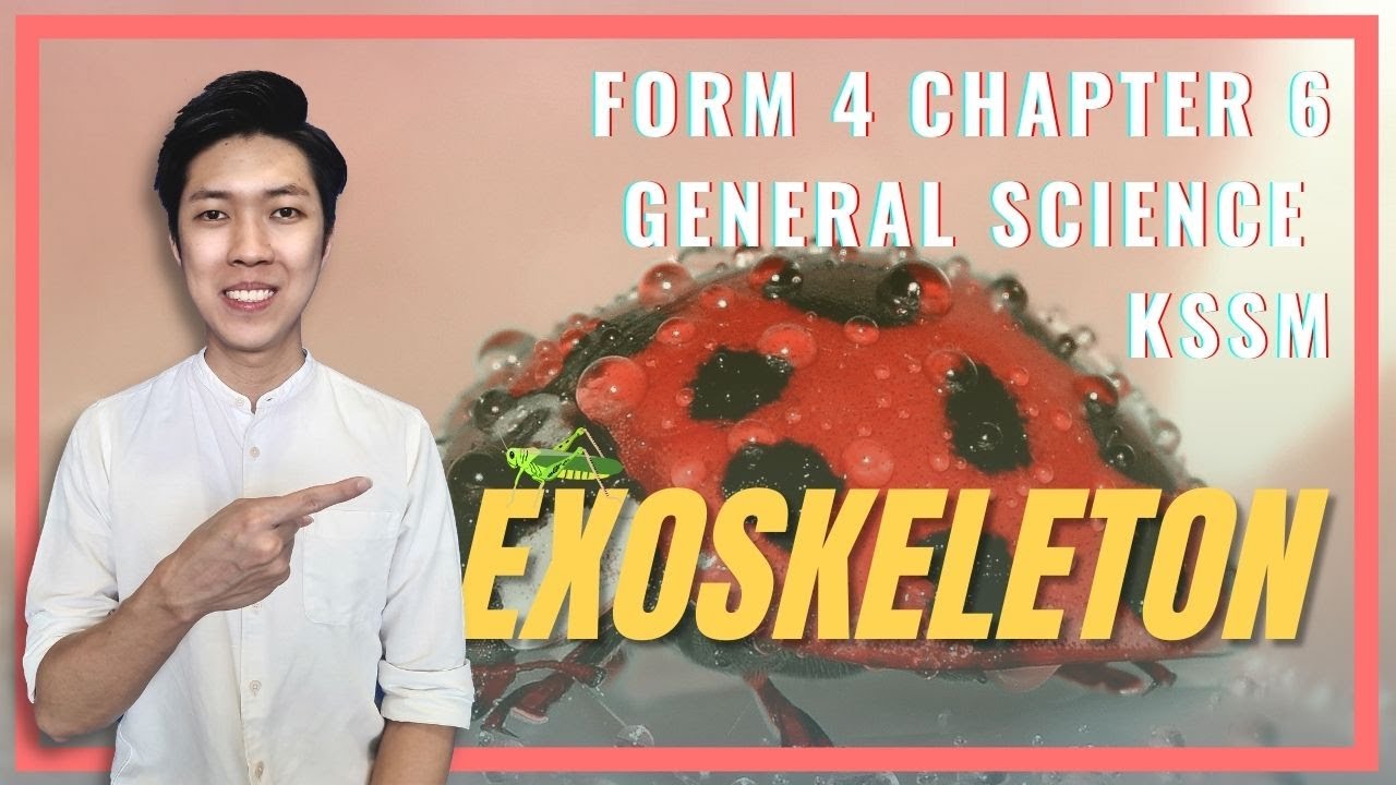 SCIENCE FORM 4 CHAPTER 6 KSSM || EXOSKELETON || MIX MANDARIN ENGLISH LA