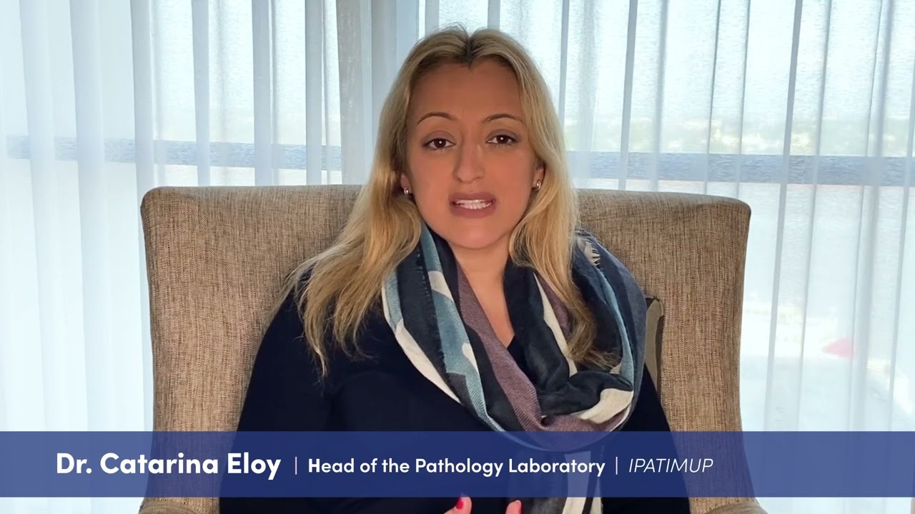 Inside Pathology: Independent Validation of Paige AI