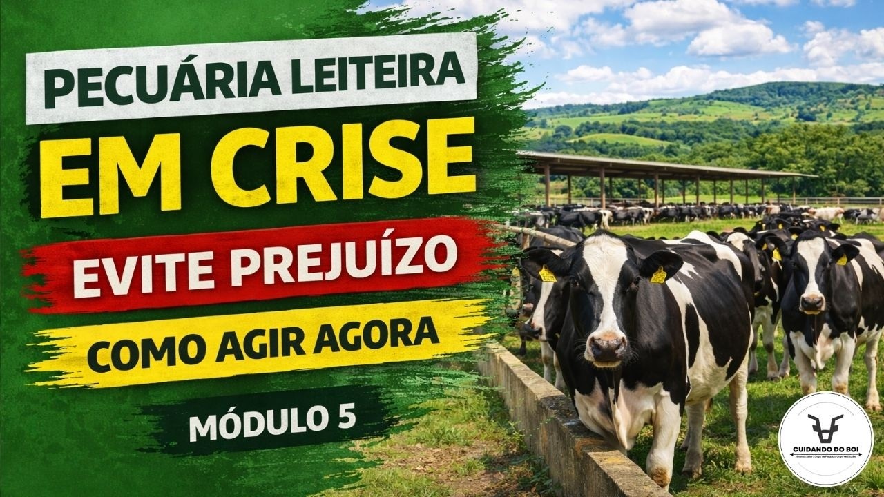 Como Atuar na Pecuária Leiteira em Momentos de Crise?