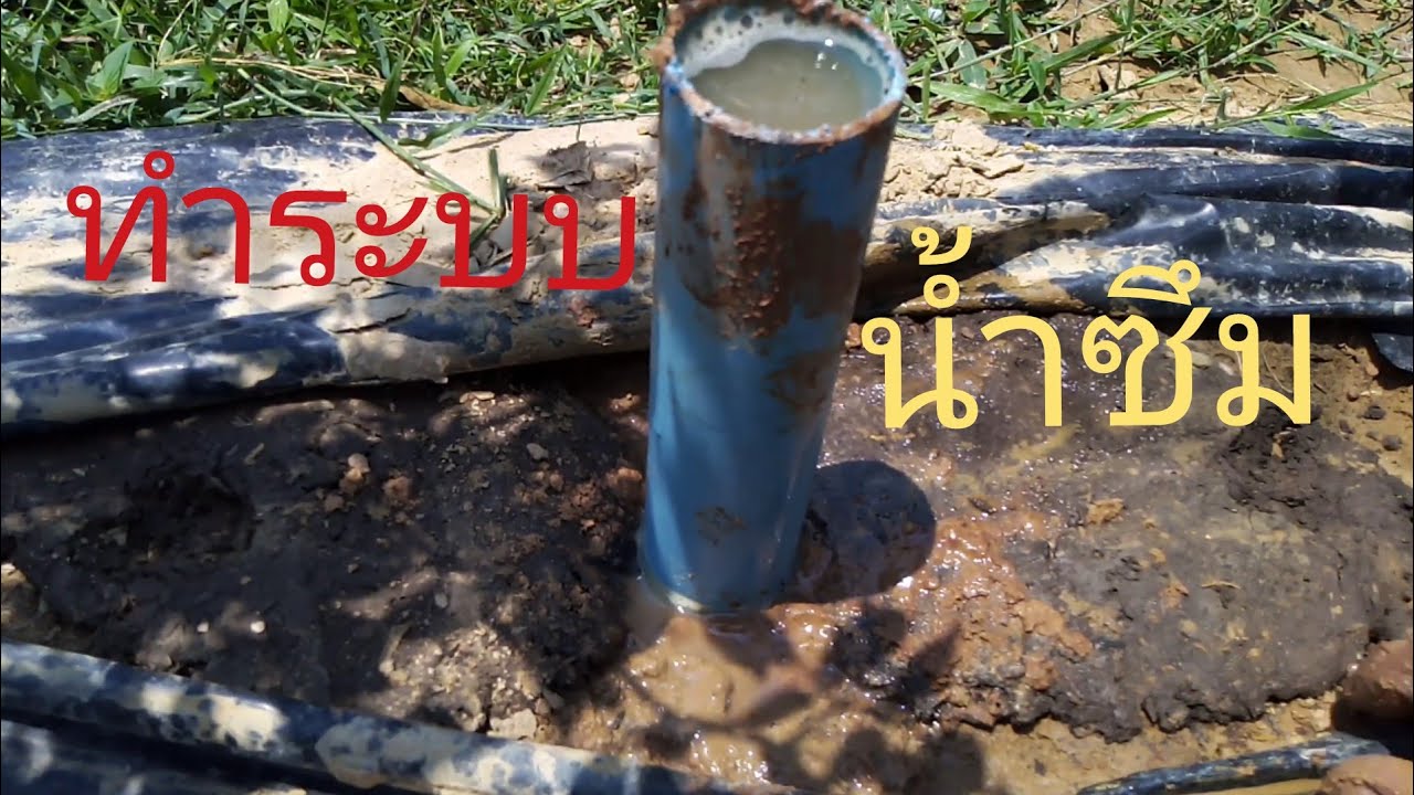 #ปลูกพริกซุบเปอร์​ฮ​อท​ ตัดปัญหา​น้ำไหล​ผ่านด้วยการทำระบบน้ำซึมง่ายนิดเดียว