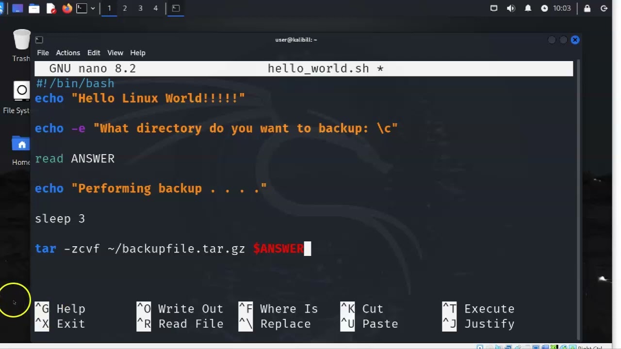 Linux Backup Script with Input
