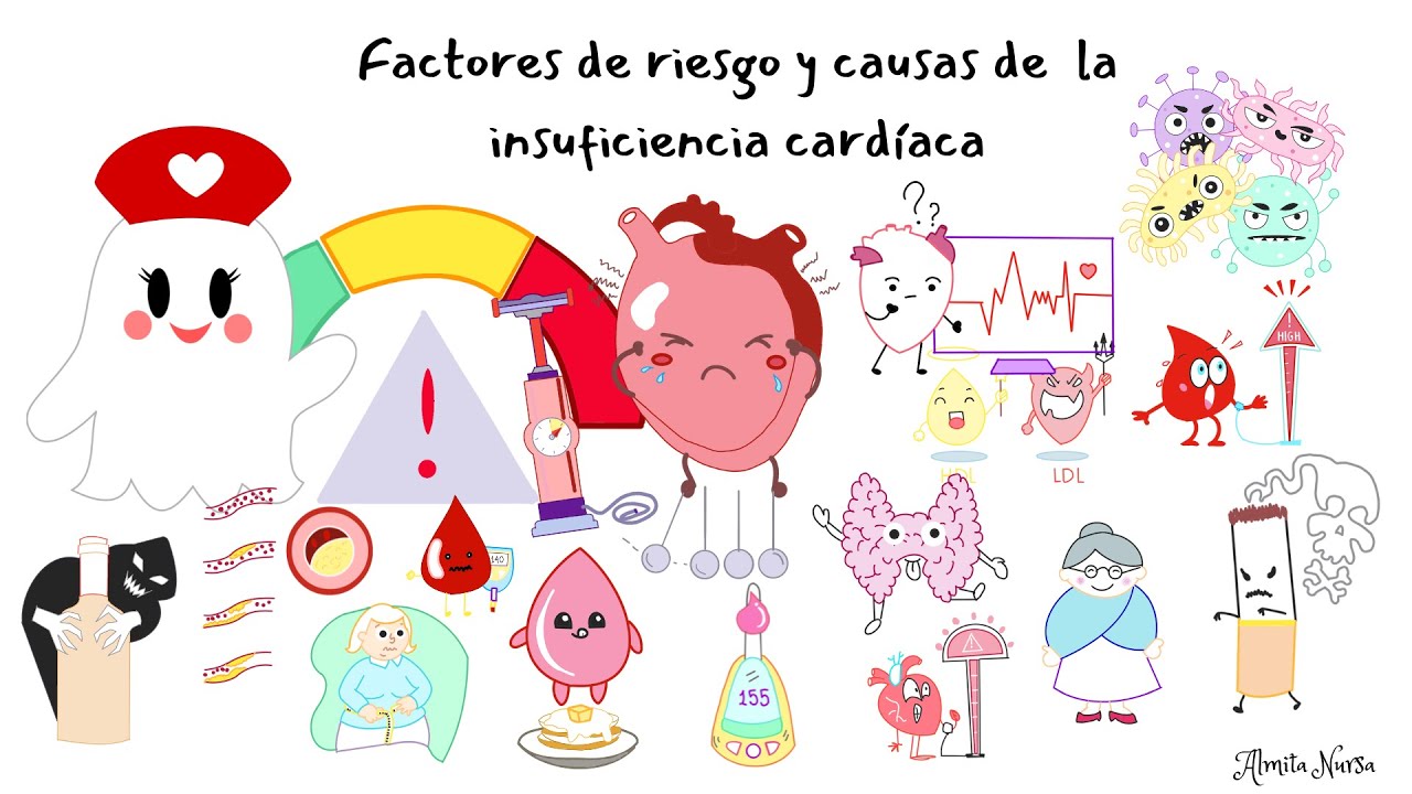 Factores  de  riesgo  y  causas  de la  insuficiencia  cardíaca