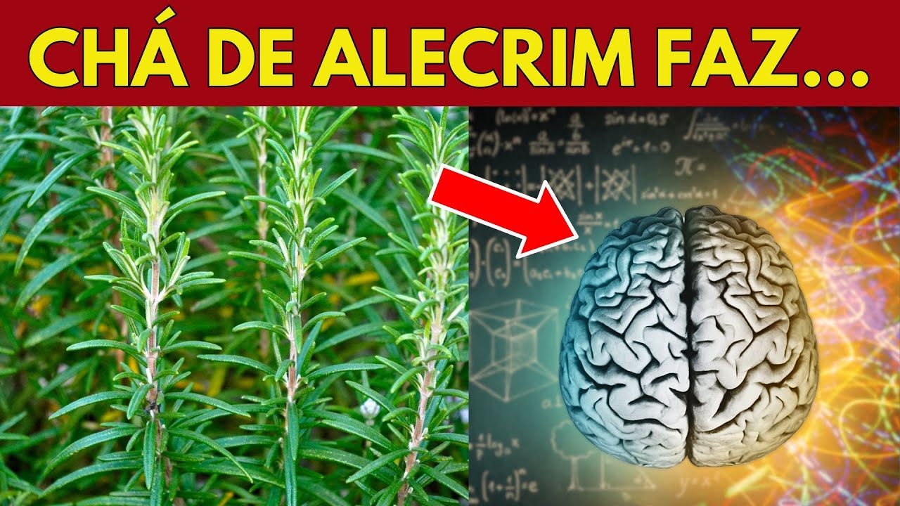 Tome CHÁ DE ALECRIM TODOS OS DIAS E veja esses 10 BENEFÍCIOS na sua SAÚDE!