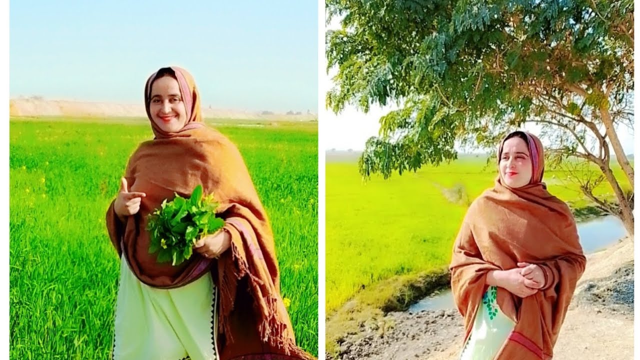 Aaj humne enjoy Kiya kheton ka mosam aur khoob Tora sarson ka saagh 🌹🌹🌹🌿🌿