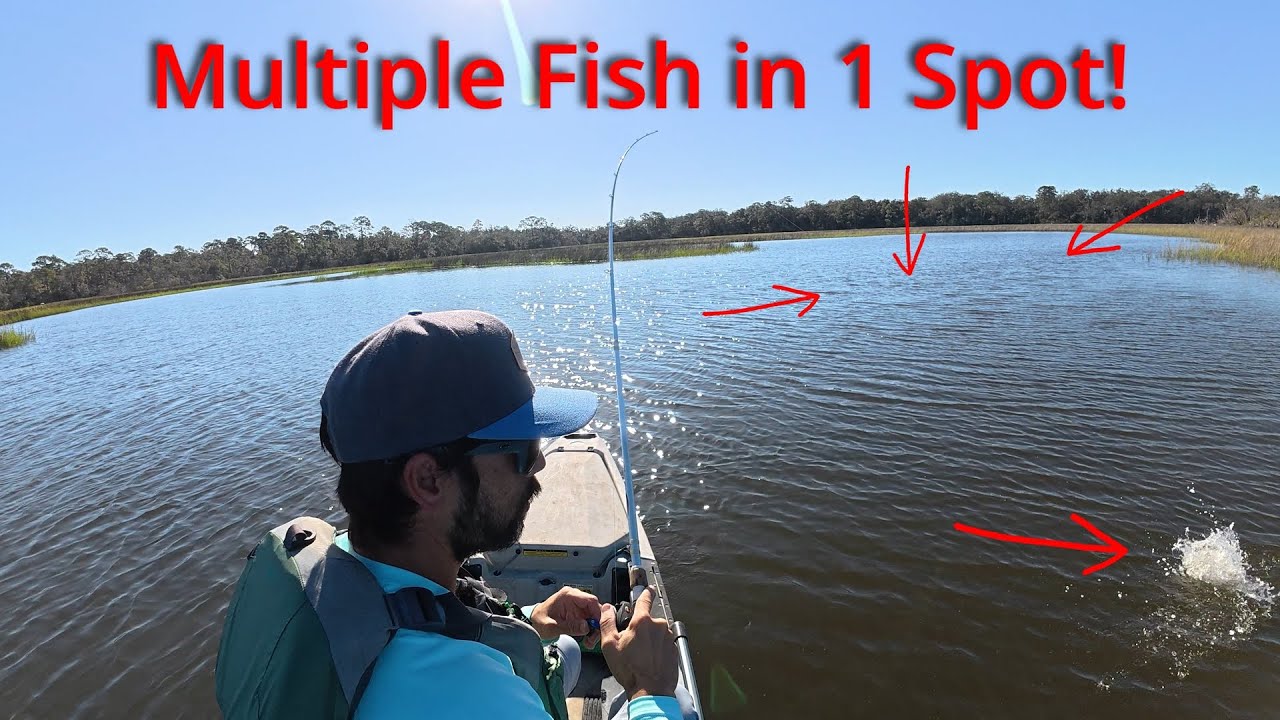 4 Species and Multiple Fish Caught! Kayak Fishing Browns Creek, Jacksonville, FL