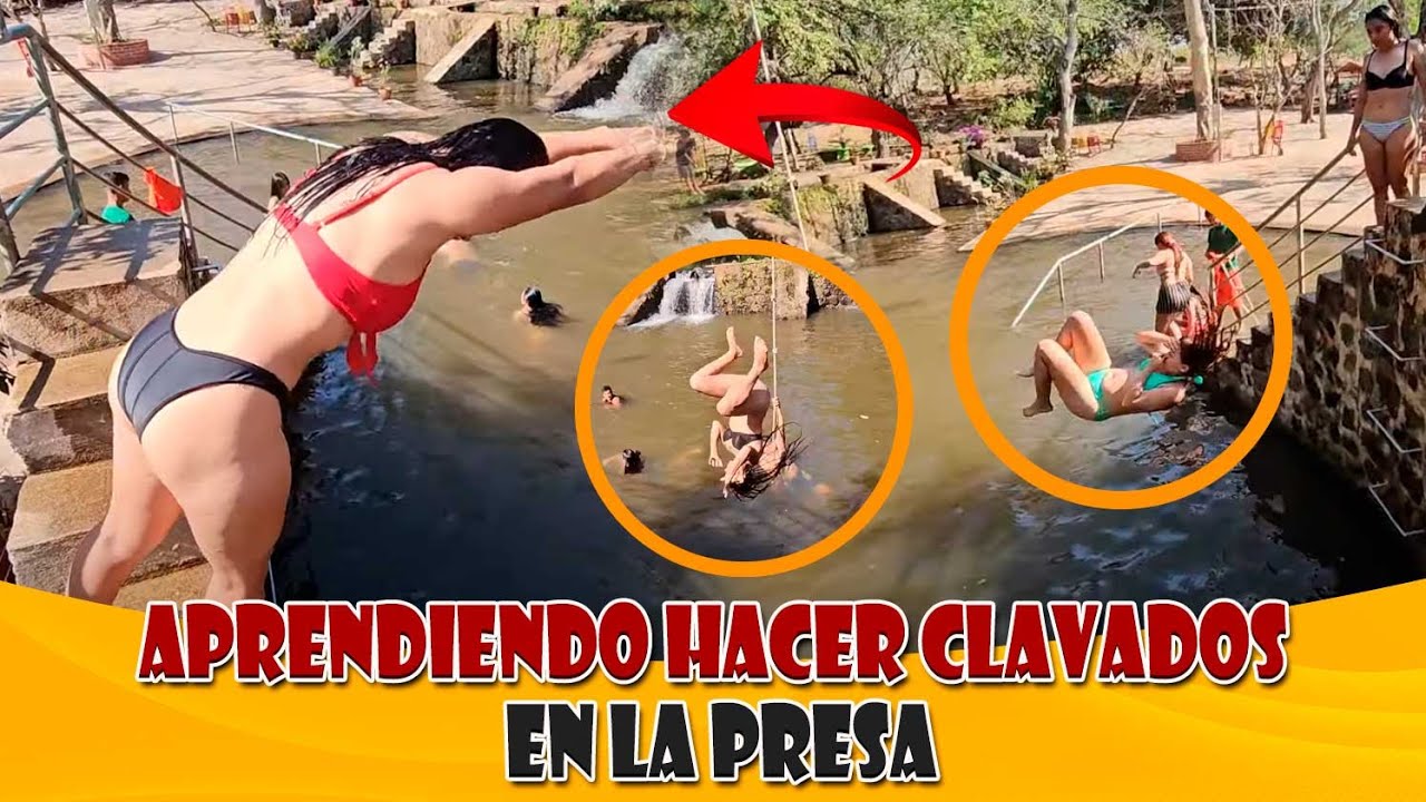 Las bichas están aprendiendo hacer clavados, se preparan para ir a los CENOTES DE MÉXICO