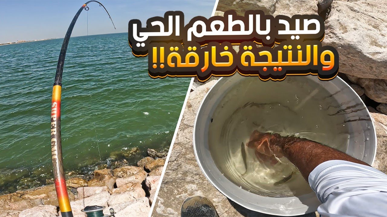 اخيرا صدته بالطعم الحي والفرش