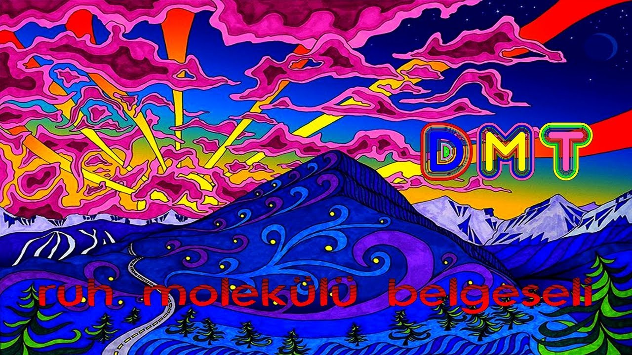d.m.t. dimetiltriptamin / ruh molekülü belgeseli / joseph erdem