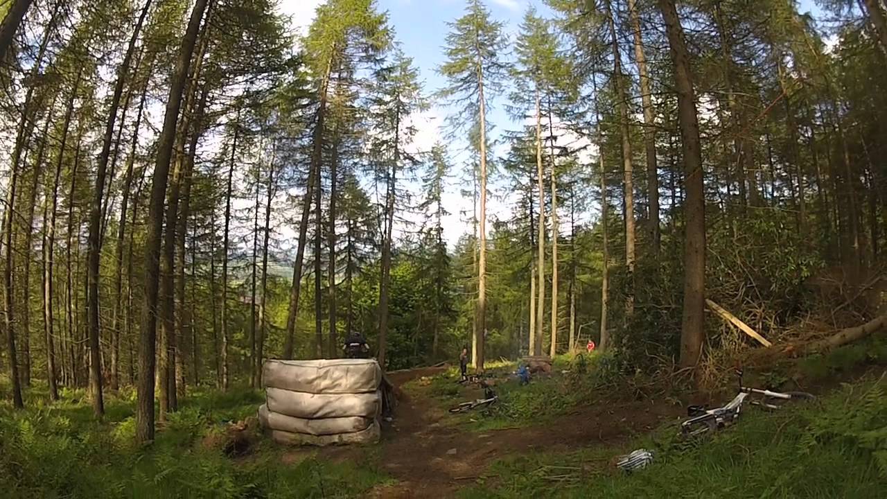 EAST TO WEST (Lennox forest,. Falkland Bike Park)