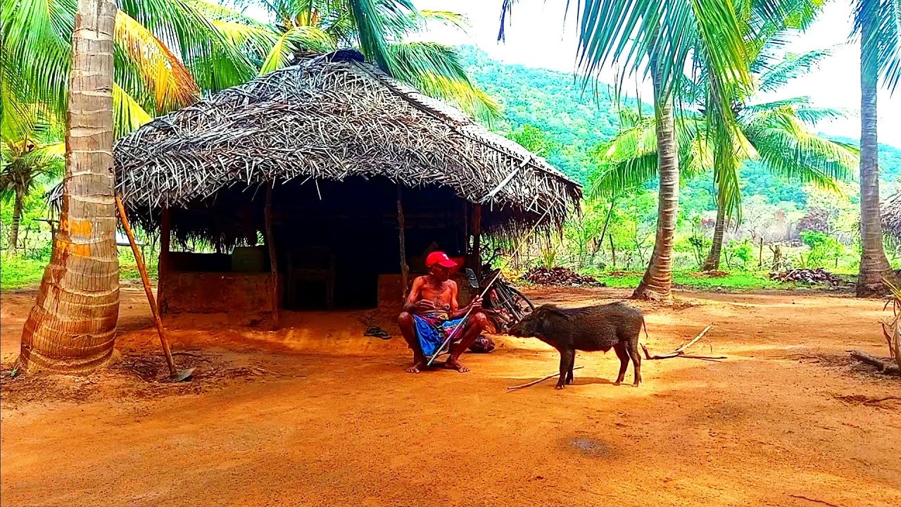 ඌරා සහ නාගයාගේ හටන🐖 🪱🍁🍀⛅