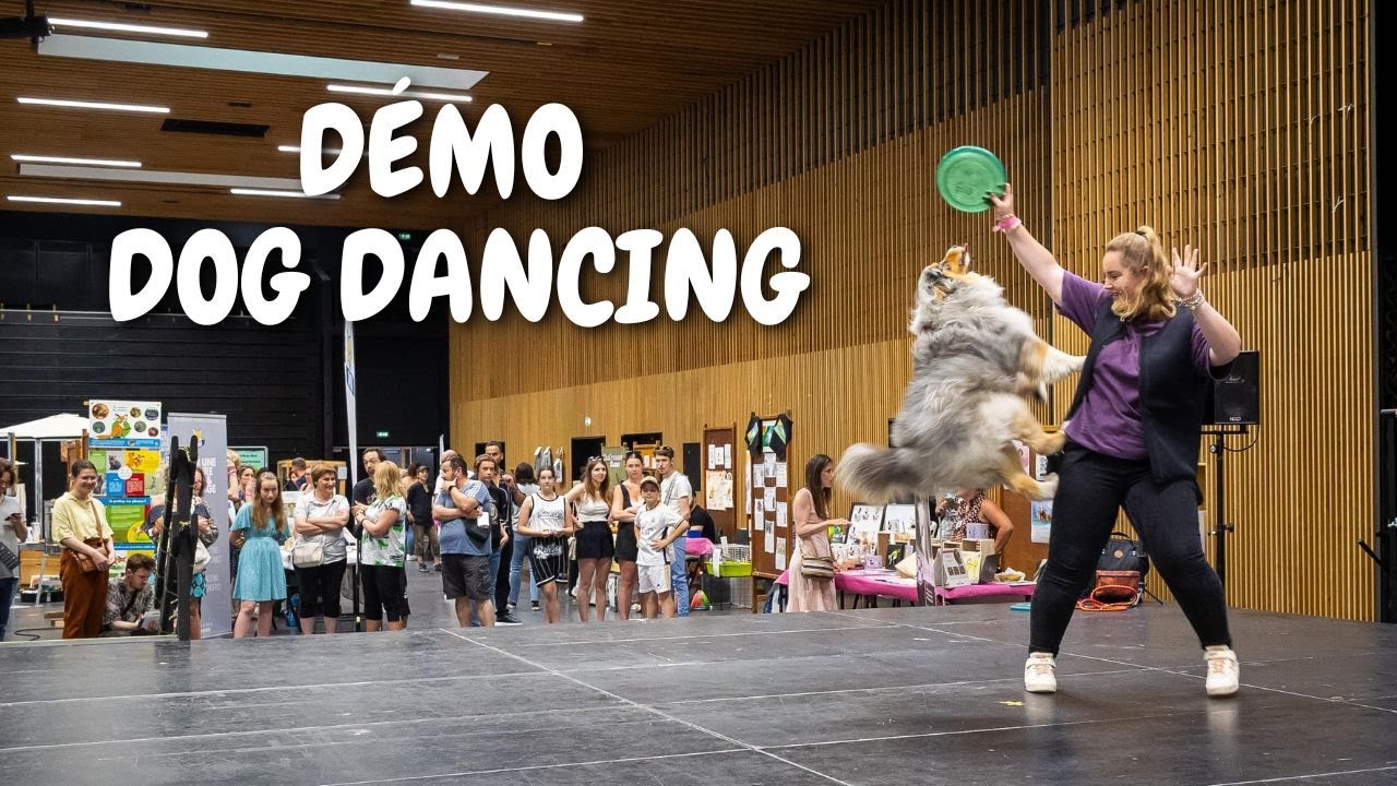 Notre d&eacute;monstration de dog dancing au salon des Ani'Meaux (2023)