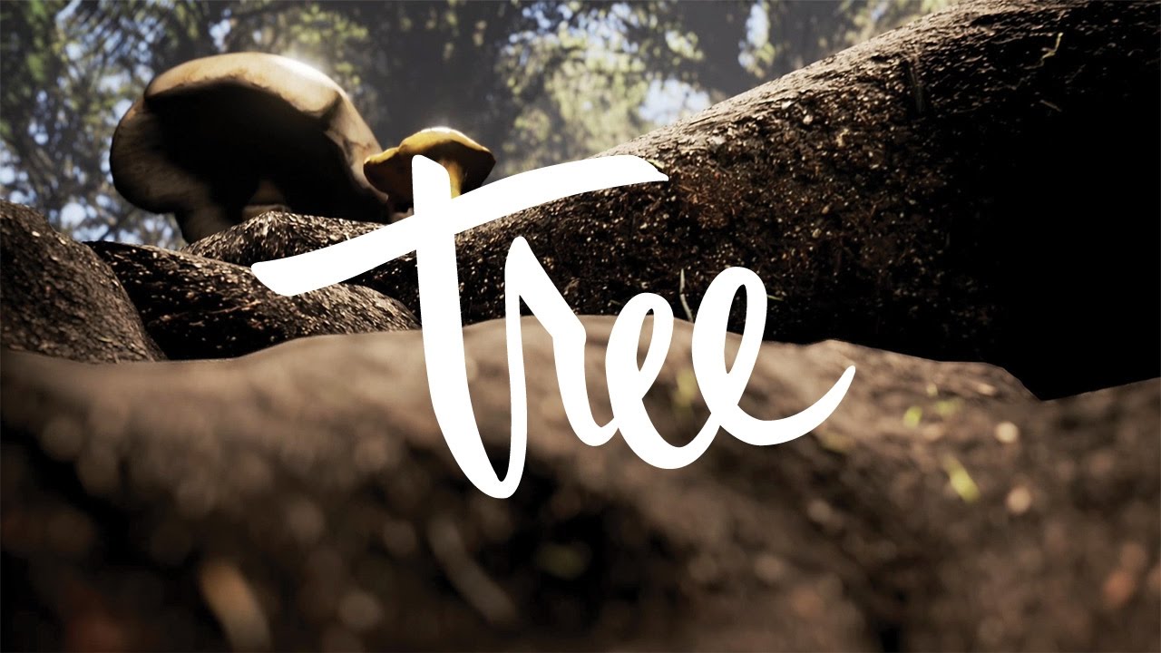Tree VR – Seedling
