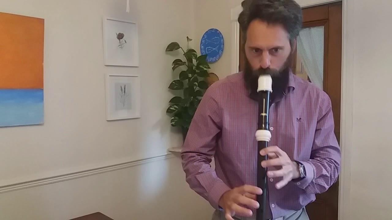 Lord of the Rings Theme on the Tenor Recorder
