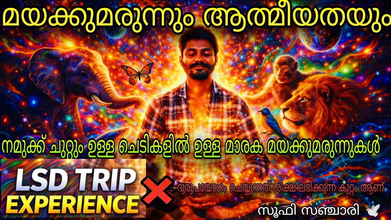 LSD: ബോധത്തിന്റെ അതിർവരമ്പുകൾക്കപ്പുറം