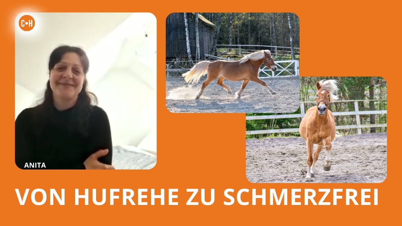 Mein Pferd hatte Hufrehe – bis ich begriff, dass ICH das Problem war