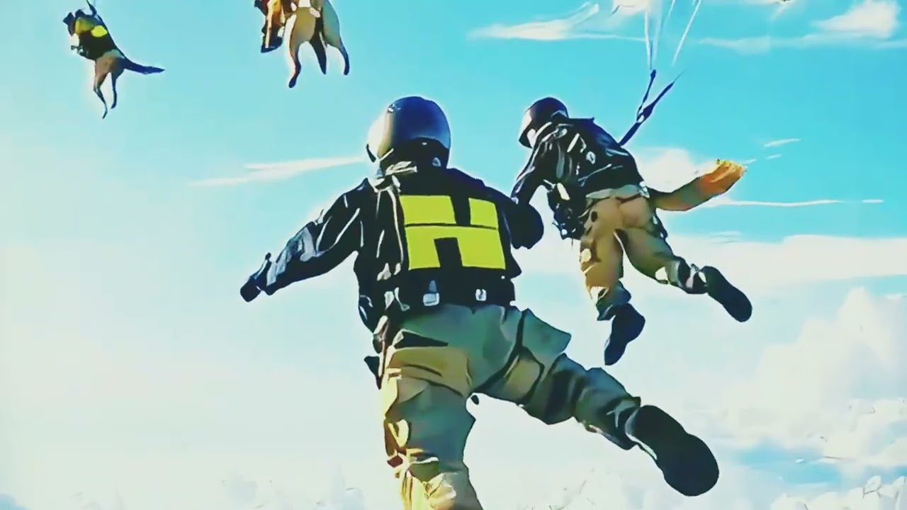 Police Dog Obedience &ndash; Strength, Trust & Control!✨#PoliceDog#TacticalDog