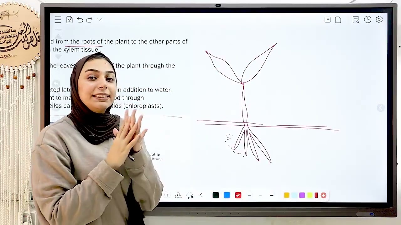 تانيه اعدادي-الترم الاول -الوحدة التالته-الدرس الاولprep2-term1-unit3-lesson1-photosynthesis 