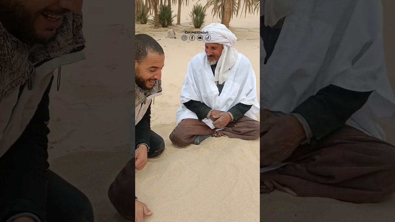 الإبل .. الجمل