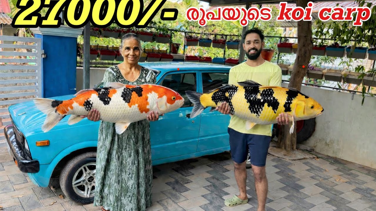 വിഷു ആയിട്ട് 27,000/- രൂപയുടെ Koi കാർപ്പിനെ മേടിച്ചു!! | Vishu special purchase | fishing freaks