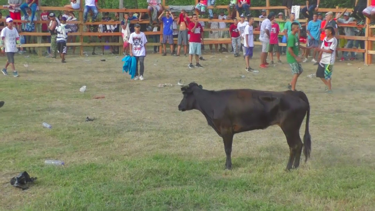 Corralejas 24 de Diciembre - Fiesta de los Diablitos 2018