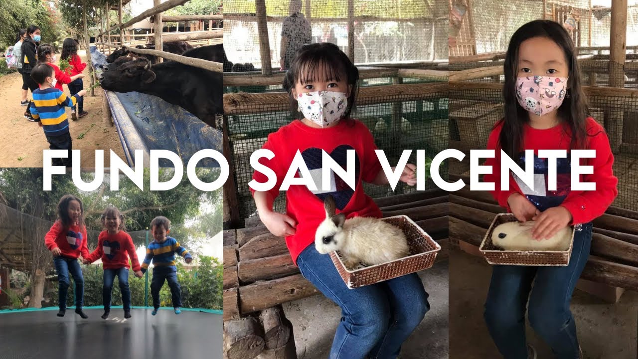 Visitamos la GRANJA FUNDO SAN VICENTE - Lurín 🐮🐣🐰🌱