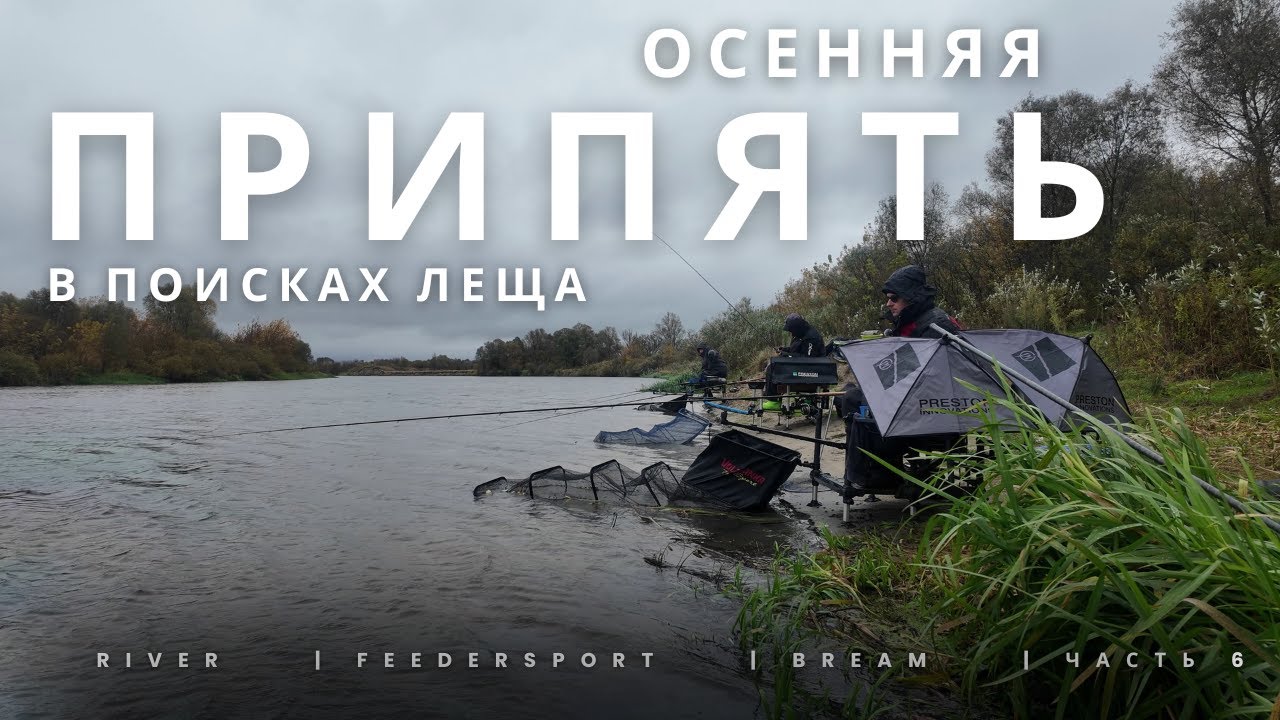 Осенняя Припять.  В поисках леща в отличной компании.