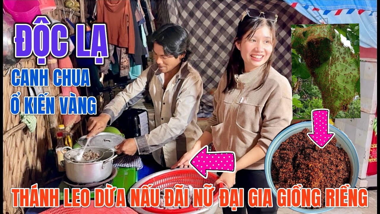 Bất ngờ nữ đại gia Giồng Riềng đến anh núi đang rữa dừa biết thêm một chuyện mới 0945101202 TÀI TV