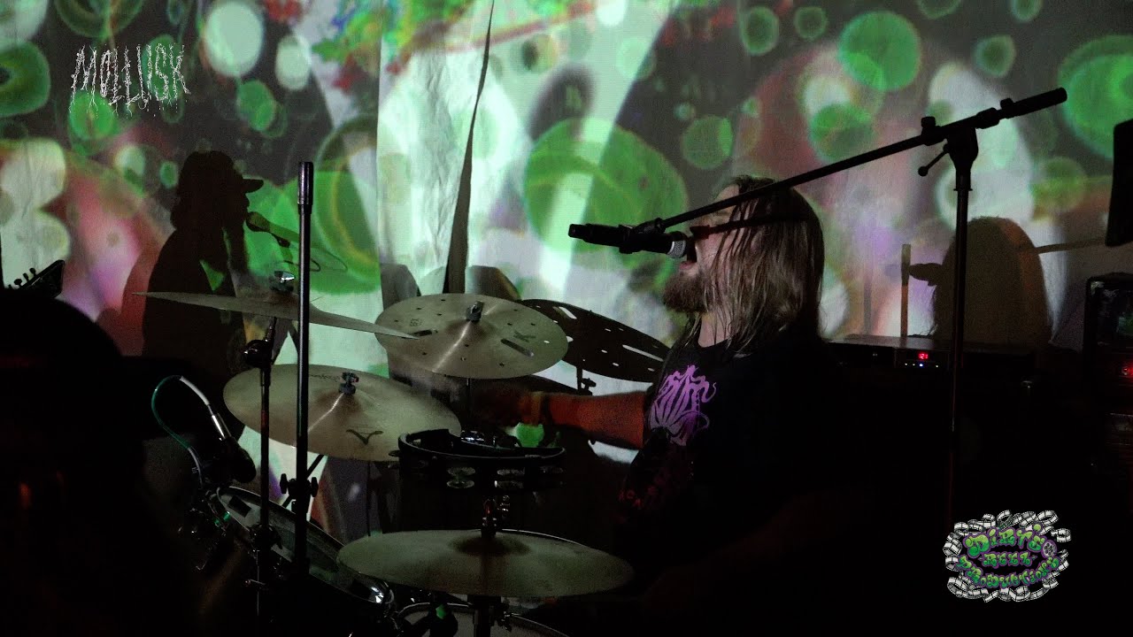 Mollusk live from Widowmaker 10/10/2025 (FULL SET)