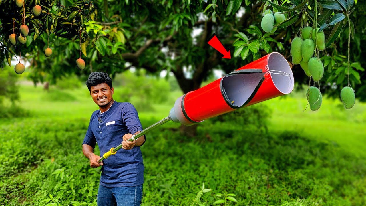 How to Make Fruits Plucker🥭 | இனி ஈசியா பழம் பறிக்கலாம்!🥰 | Vijay Ideas
