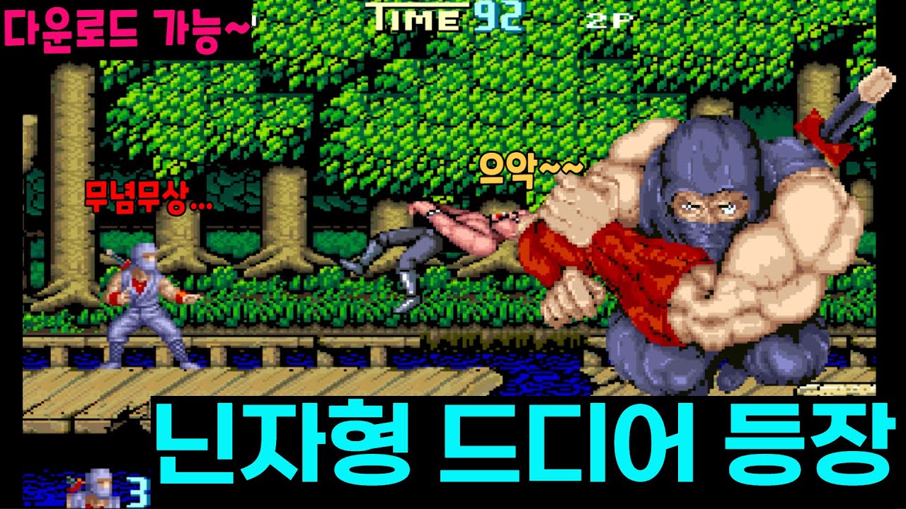 더블드래곤 닌자가이덴 용검전 닌자 Double Dragon Ninja Gaiden Arcade Ninja Ryūkenden 忍者龍剣伝 Shadow Warriors Tecmo