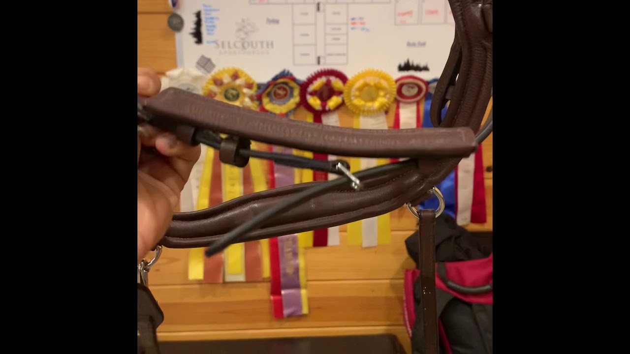 Fay Sport Bridle Review