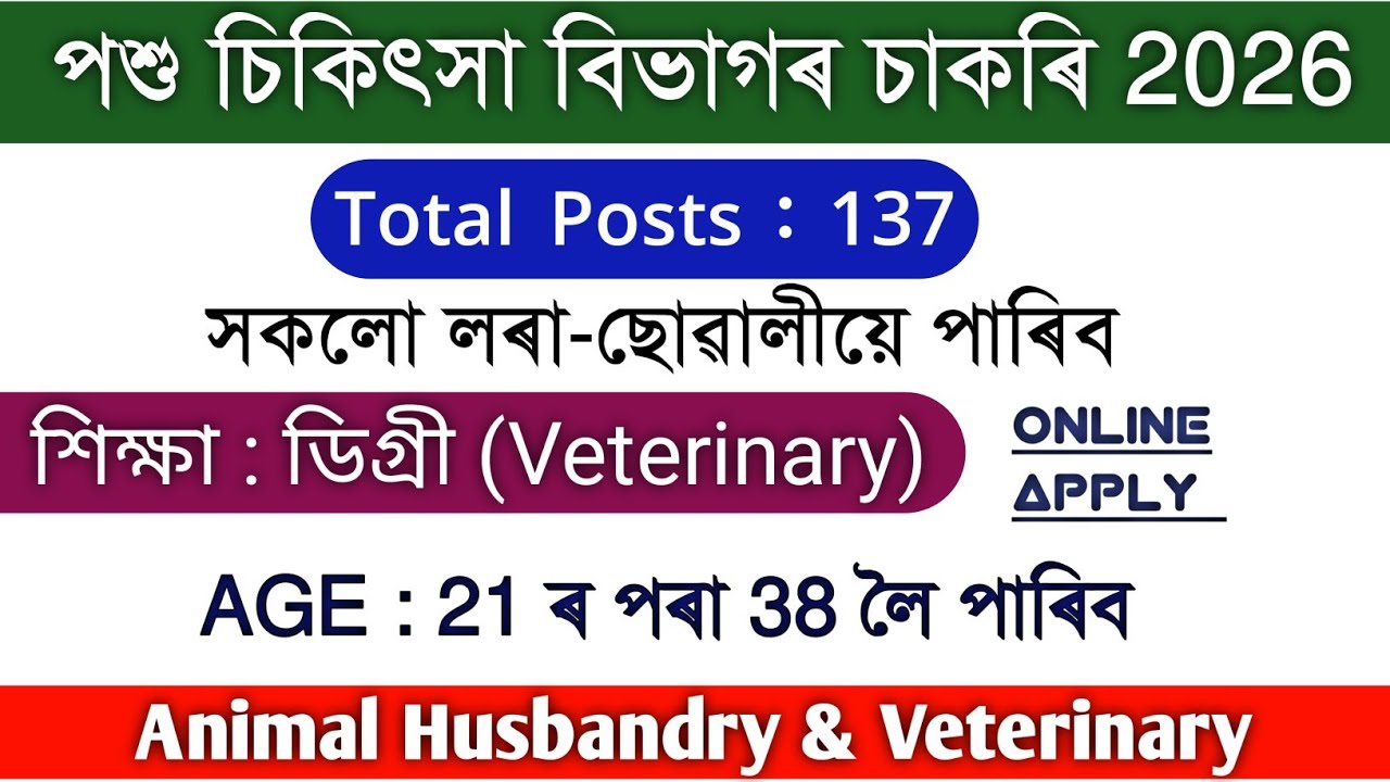 Animal Husbandry & Veterinary Vacancy 2026 | Online Apply 137 Posts | Assam Govt Job | Career Assam