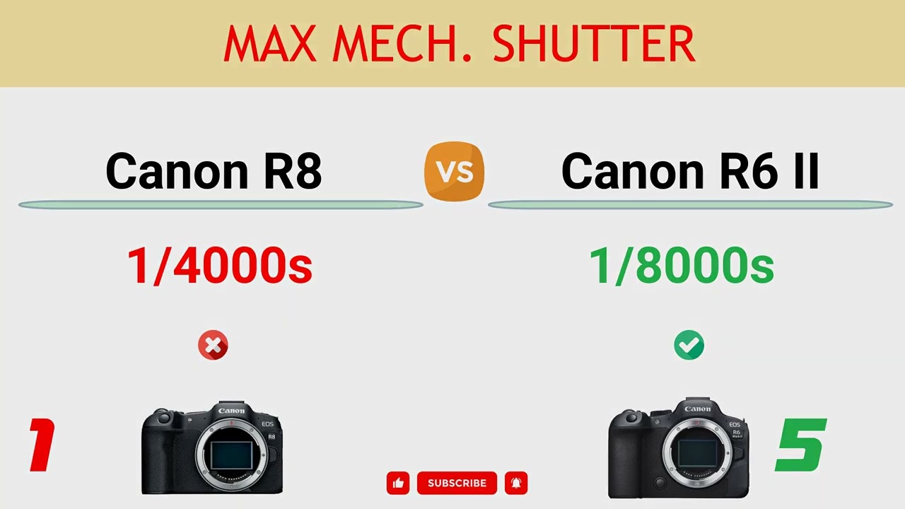 Canon R8 vs Canon R6 II Comparison: 1 Reasons to buy the R8 and 9 Reasons to buy the R6 II