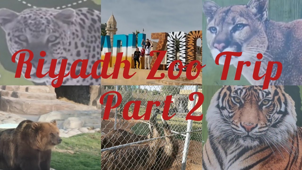 Riyadh Zoo Trip With Family Part 2, #KSA # ❤️❤️❤️ #riyadhzoo #sauditourism #junglefeel