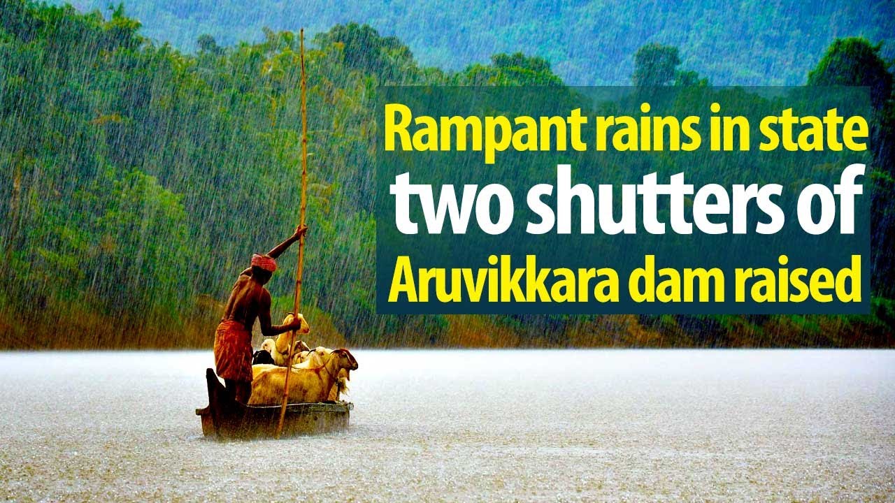 Rains: Control rooms and Camps to be set up; Contact toll free number 1077