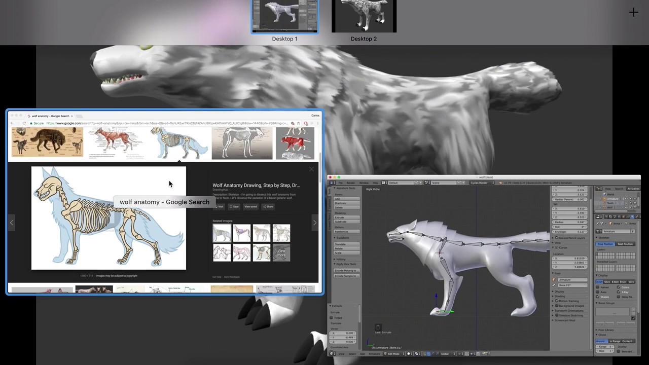 Blender 3D Wolf Rigging tutorial